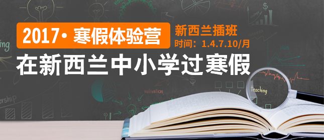 2017�����m�����w�I